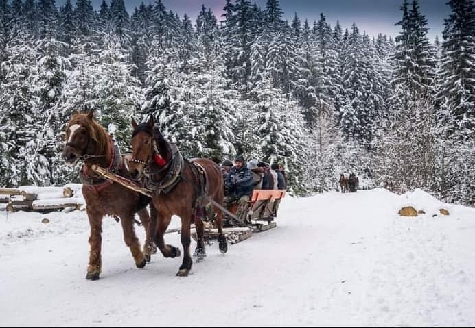 Zdjęcie na okładce dla Kuligi Istebna Ireneusz Gazurek Kulig Zimowy i Letni